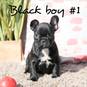 Black boy #1